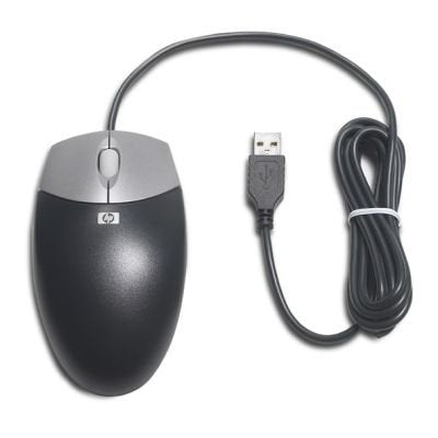 EAN 0808736599771 - HP DC172B ratón Oficina Ambidextro USB tipo A Óptico imagen 2