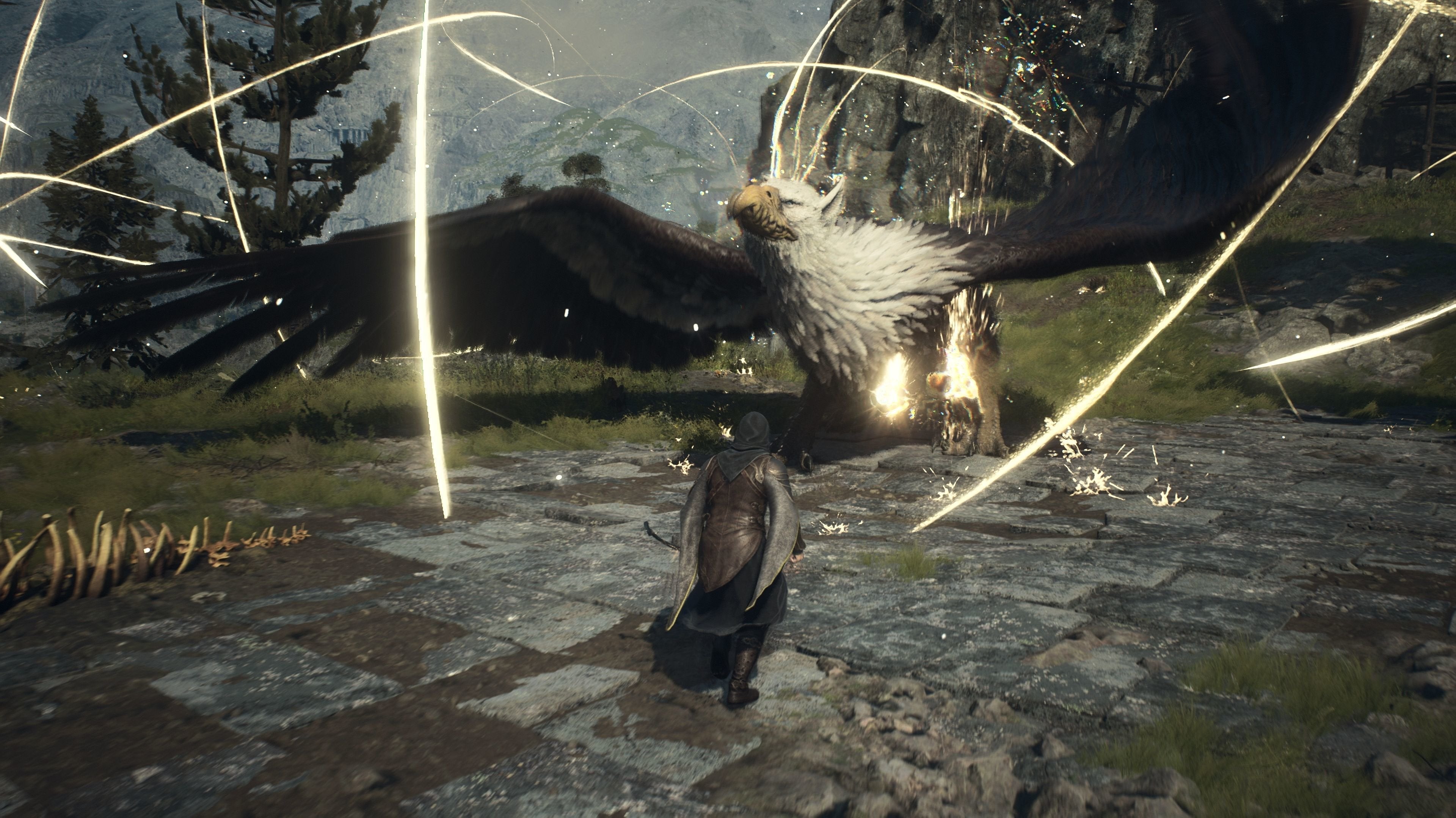 Dragon'S Dogma Ii Ps5 Uk