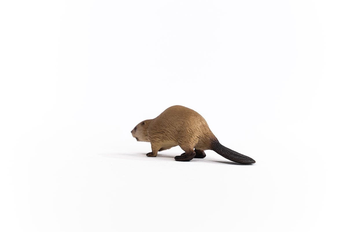 Schleich Castor Vida Salvaje 14855