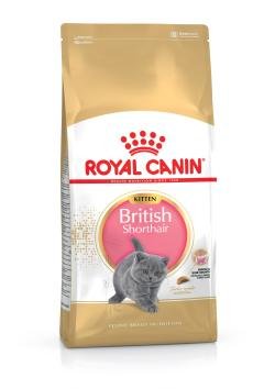 Royal Canin British Shorthair Kitten Alimento Seco Para Gatos 400 G Adulto Aves