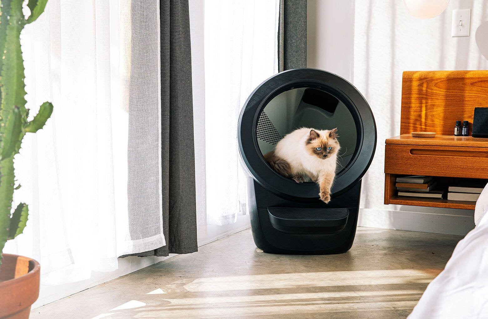Whisker Litter-Robot 4 - Negro - Eu