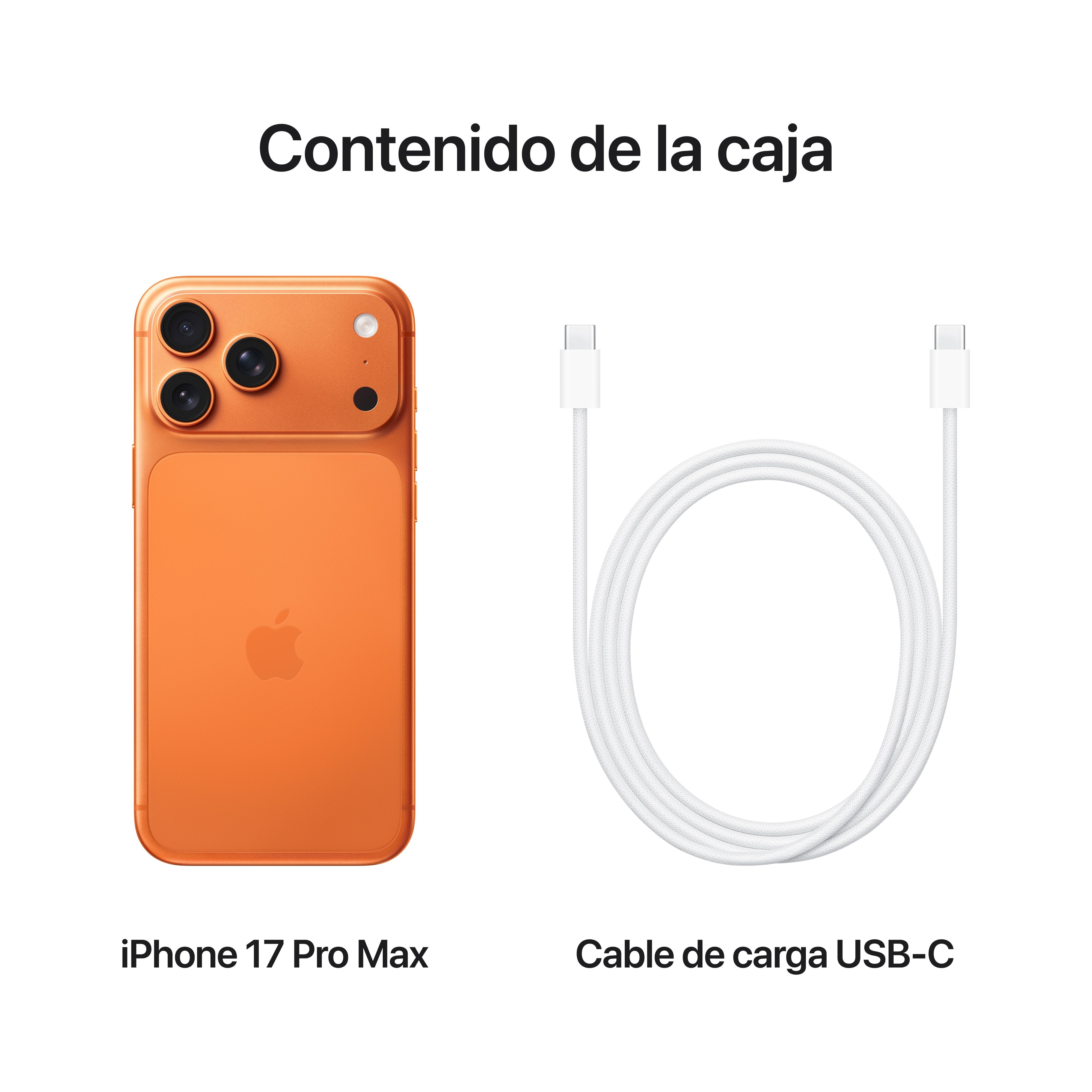 EAN 0195950640816 - Apple iPhone 17 Pro Max 17,5 cm (6.9") SIM doble iOS 26 5G USB Tipo C 2 TB Naranja imagen 8