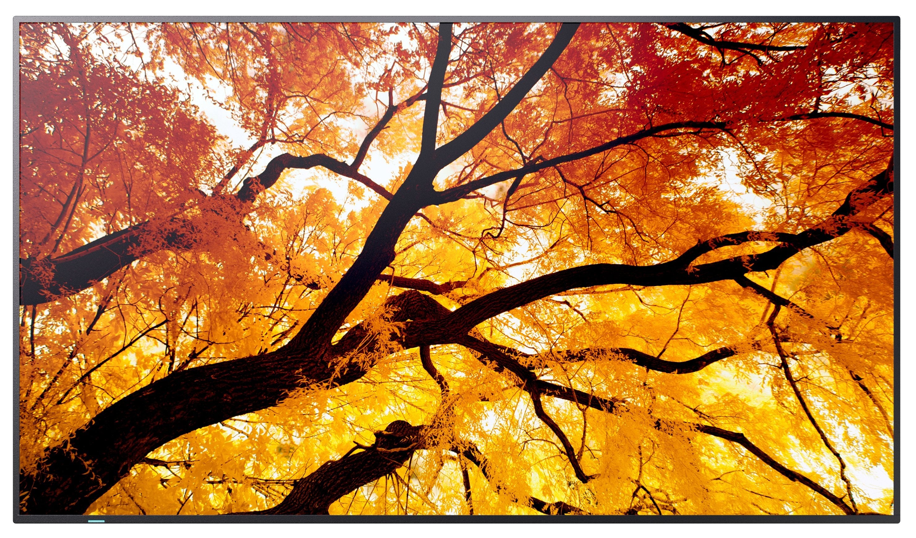 EAN 4550556130974 - Sharp MultiSync M552 Pantalla plana para señalización digital 139,7 cm (55") LCD 550 cd / m² 4K Ultra HD imagen 2