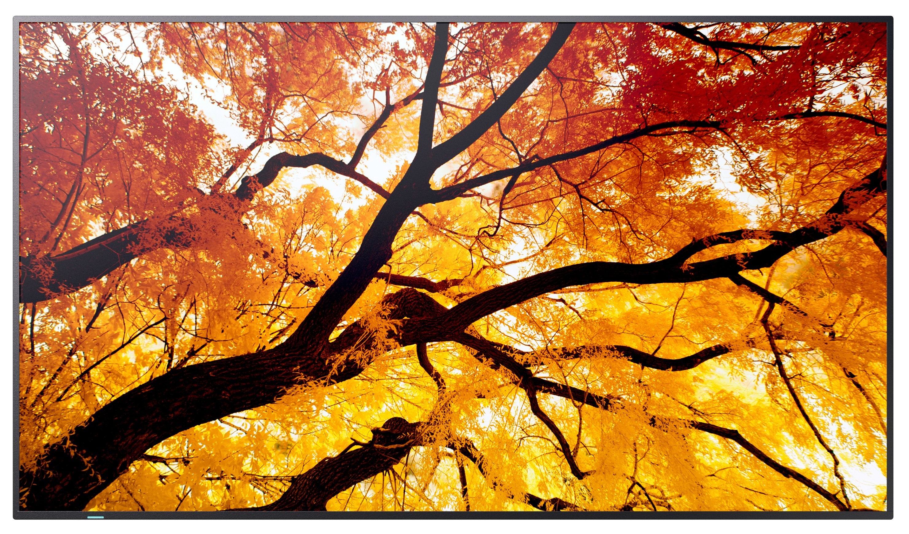EAN 5715328282667 - Sharp MultiSync M552 Pantalla plana para señalización digital 139,7 cm (55") LCD 550 cd / m² 4K Ultra HD imagen 2