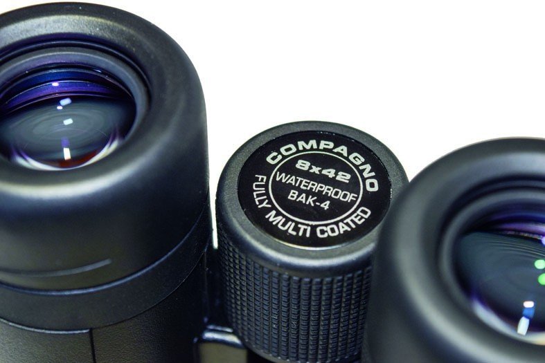 Braun Compagno 8x42 Wp