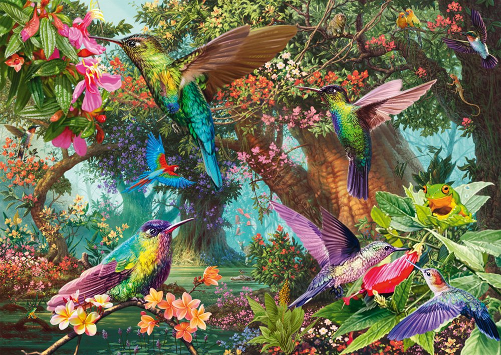 Schmidt Games Juego De Color Del Kolibris, Rompecabezas 1000 Partes 58869