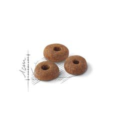 Pienso Royal Canin Fhn Fit (2 Kg )