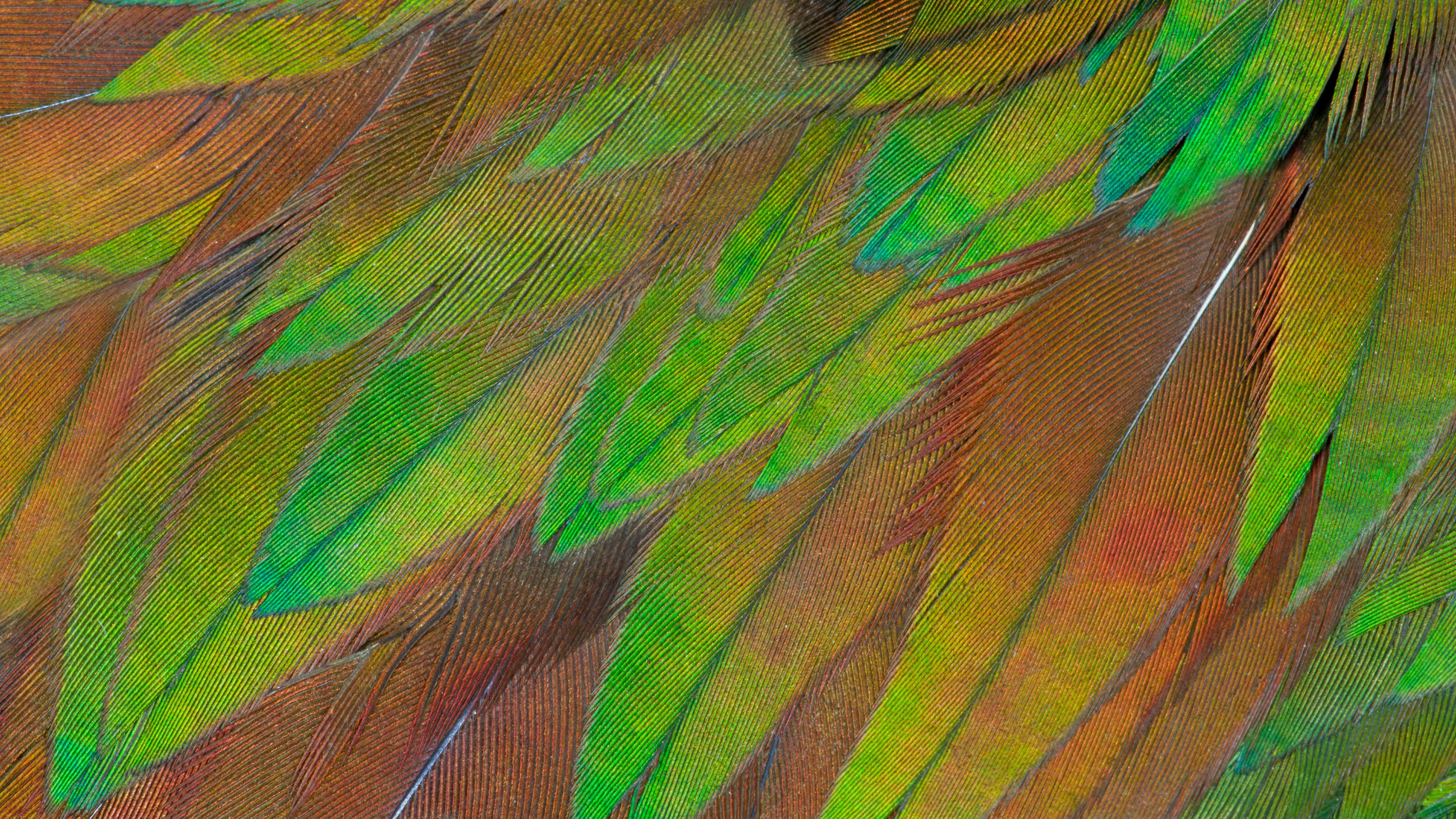 Monitor Led Philips 27" Uhd 0hz 2xhdmi 2.0 Dp 1.4 Ubs-C 27b1u3900/00