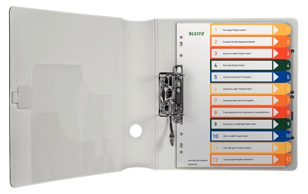 Esselte Leitz Pc Printable Index - 12 Hoja Karteikarten
