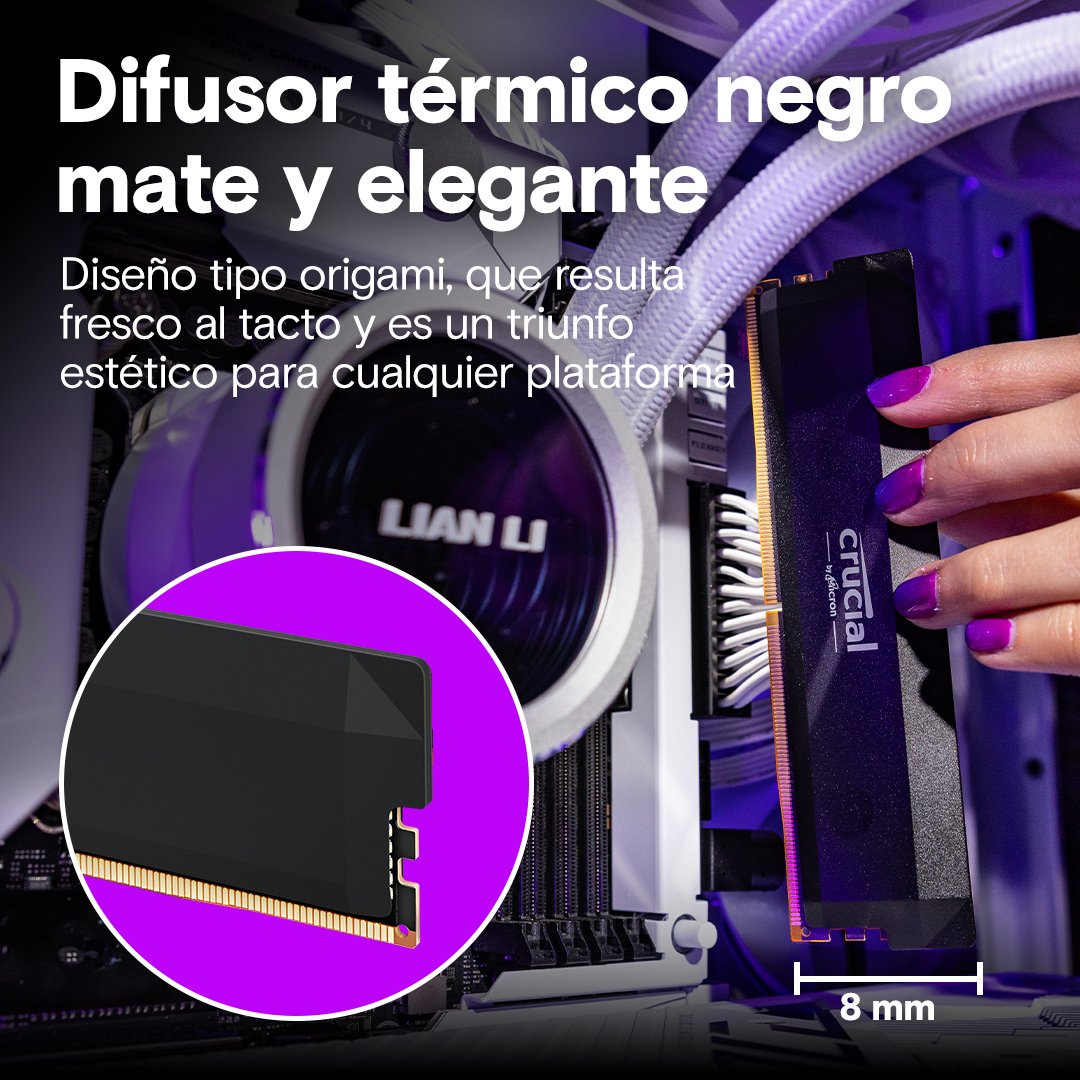 EAN 0649528945709 - Crucial Pro CP2K32G64C40U5B módulo de memoria 64 GB 2 x 32 GB DDR5 288-pin DIMM imagen 5