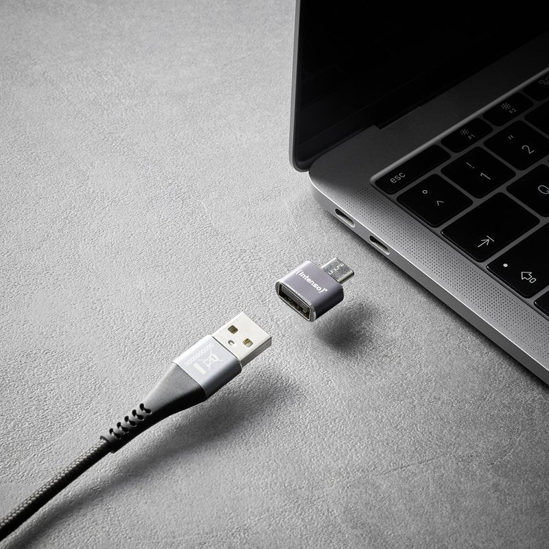 EAN 4034303038091 - Intenso 7600113 cambiador de género para cable Antracita imagen 5