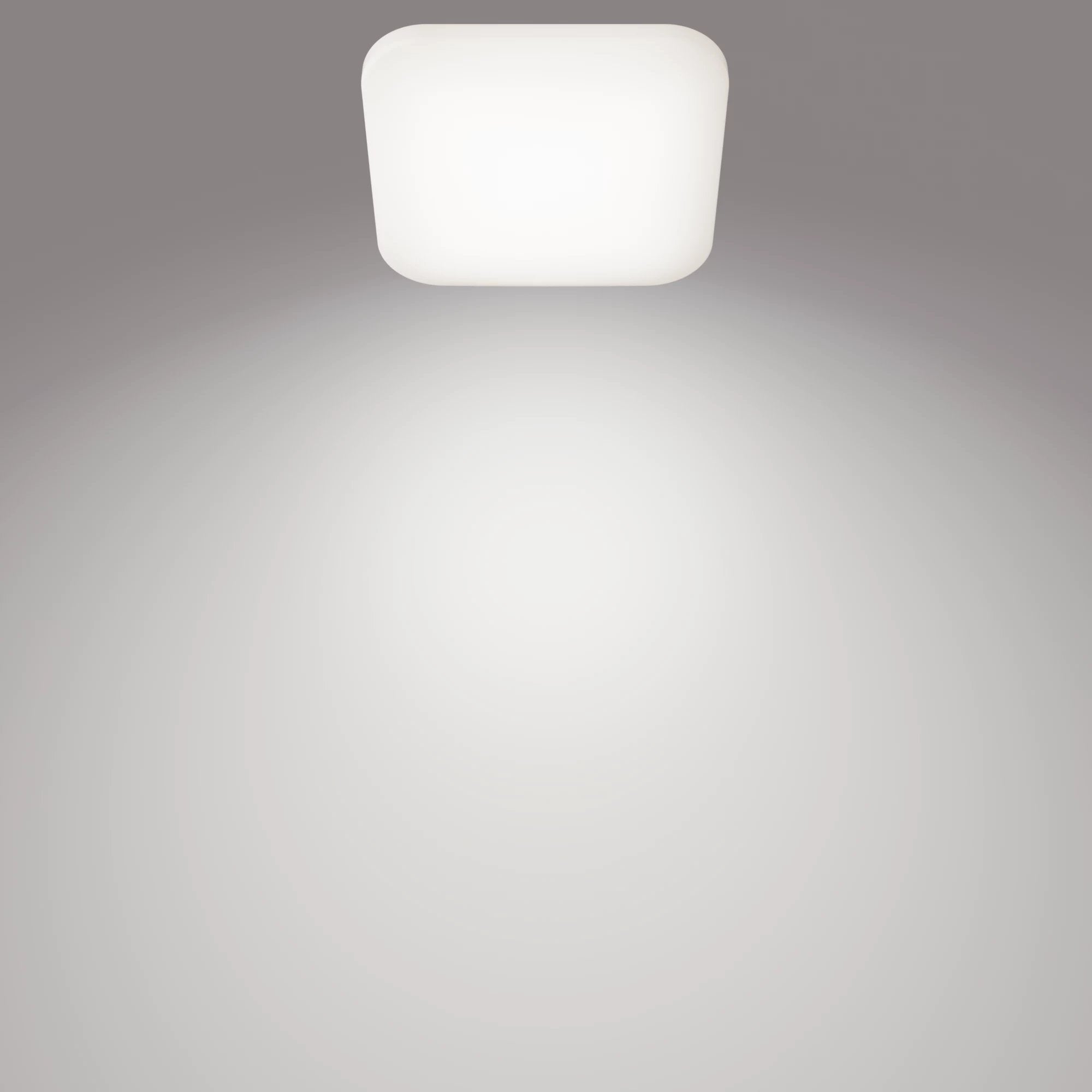 EAN 8720169195479 - Philips Funcional 8720169195479 iluminación de techo LED imagen 2