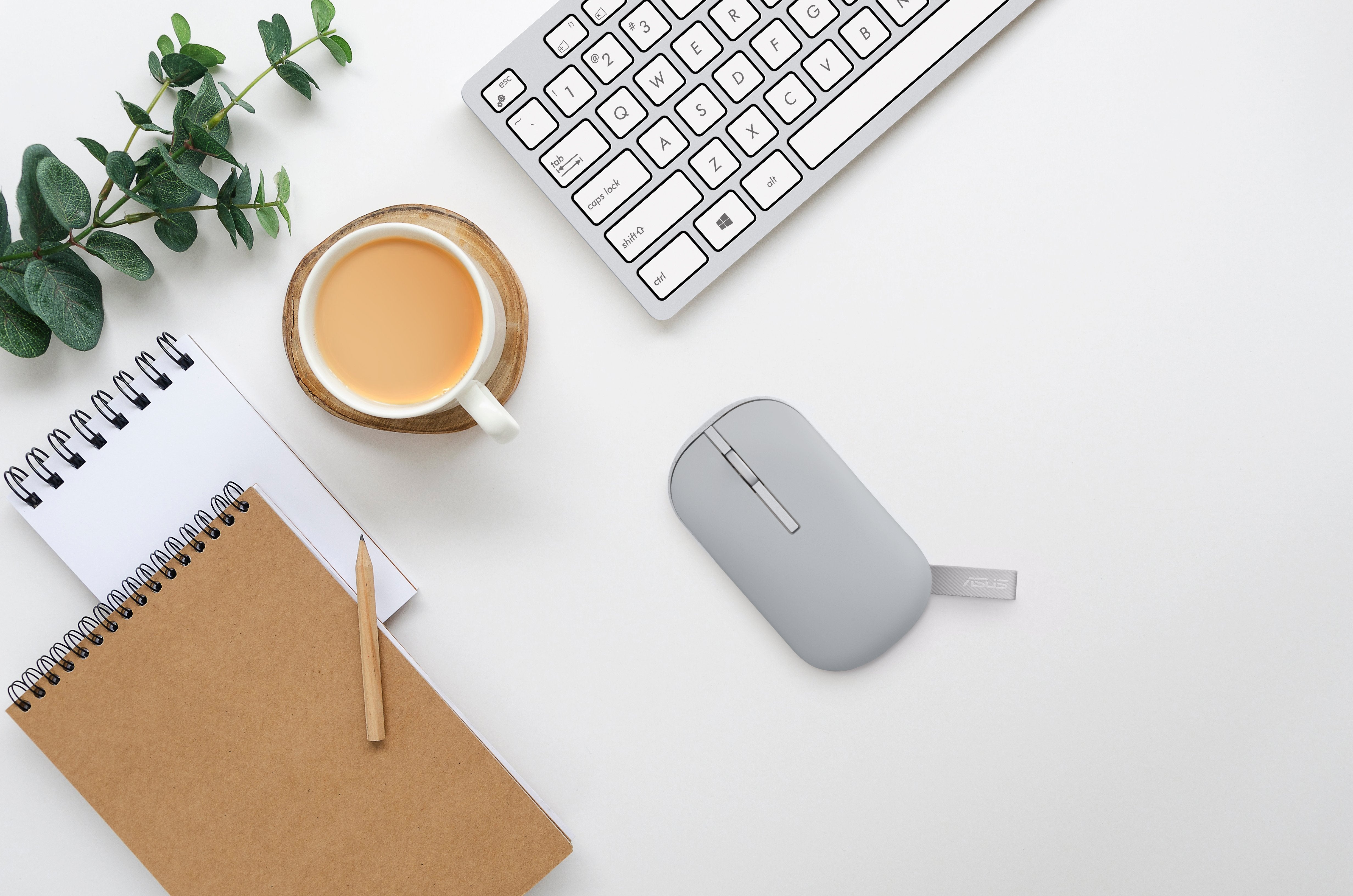 Raton Asus Md100 Szara