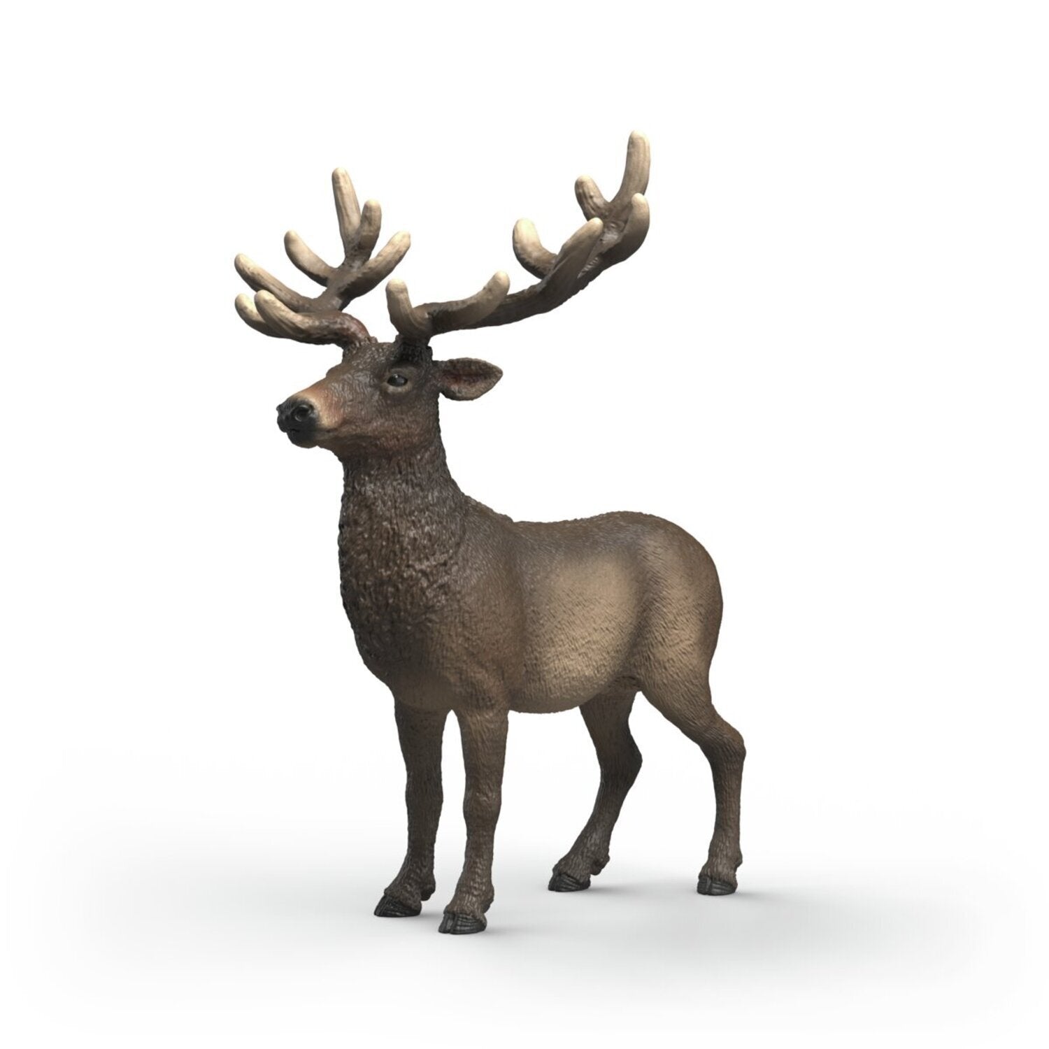 Schleich Wild Life Amerikanischer Rojohirsch 14992