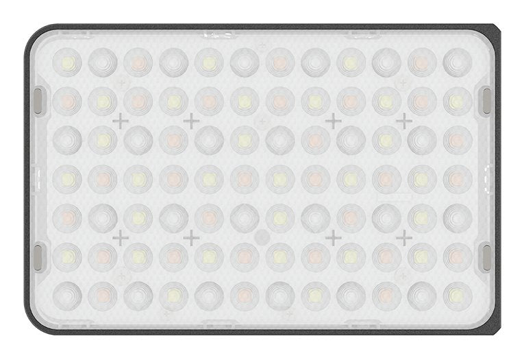 Amaran Ace 25x Charcoal