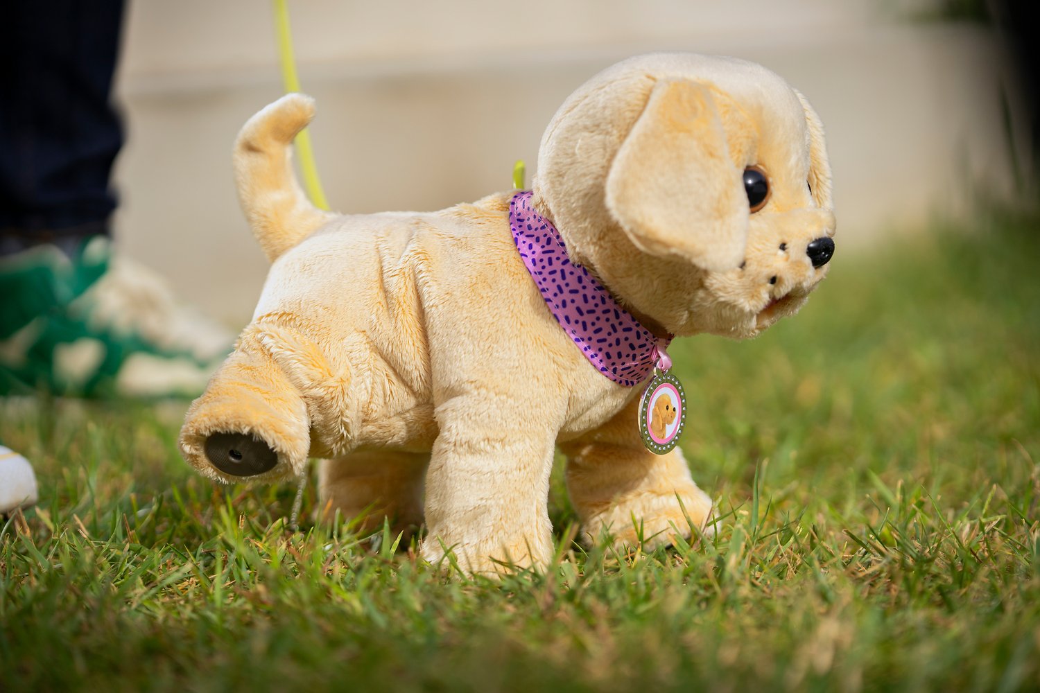 Zapf Creation Baby Born Mein Hund Lucky Con Box 842133