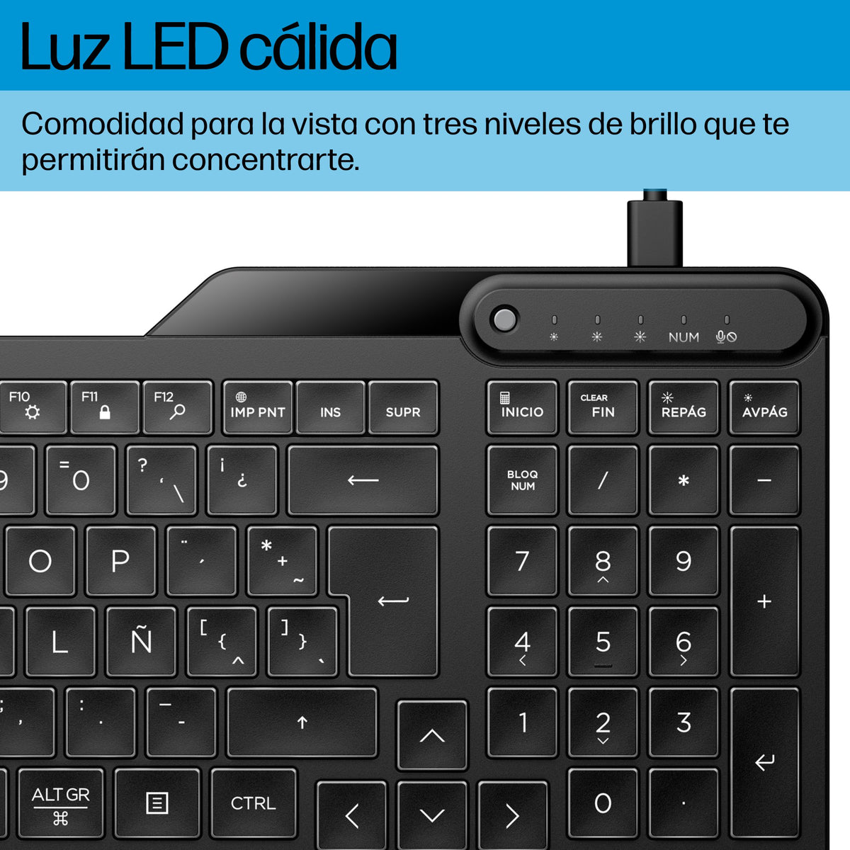 EAN 197192768815 - HP 405 Backlit Wired Keyboard teclado Oficina USB Negro imagen 4