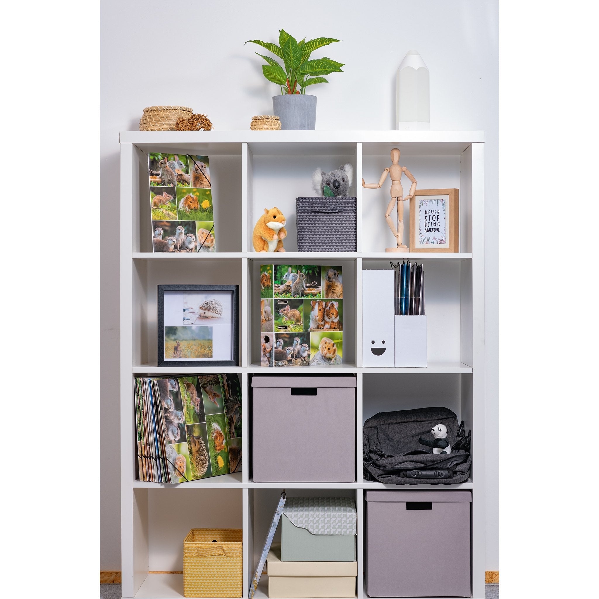 EAN 4008705192521 - HERMA 19252 carpeta de cartón A4 Multicolor imagen 5