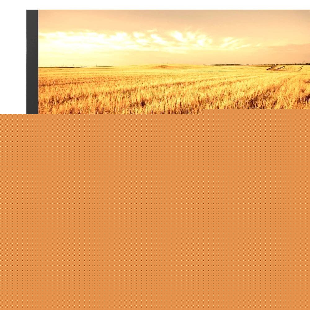 EAN 8054529029983 - Techly ICOC HDMI-4-005NE cable HDMI 0,5 m HDMI tipo A (Estándar) Negro imagen 7