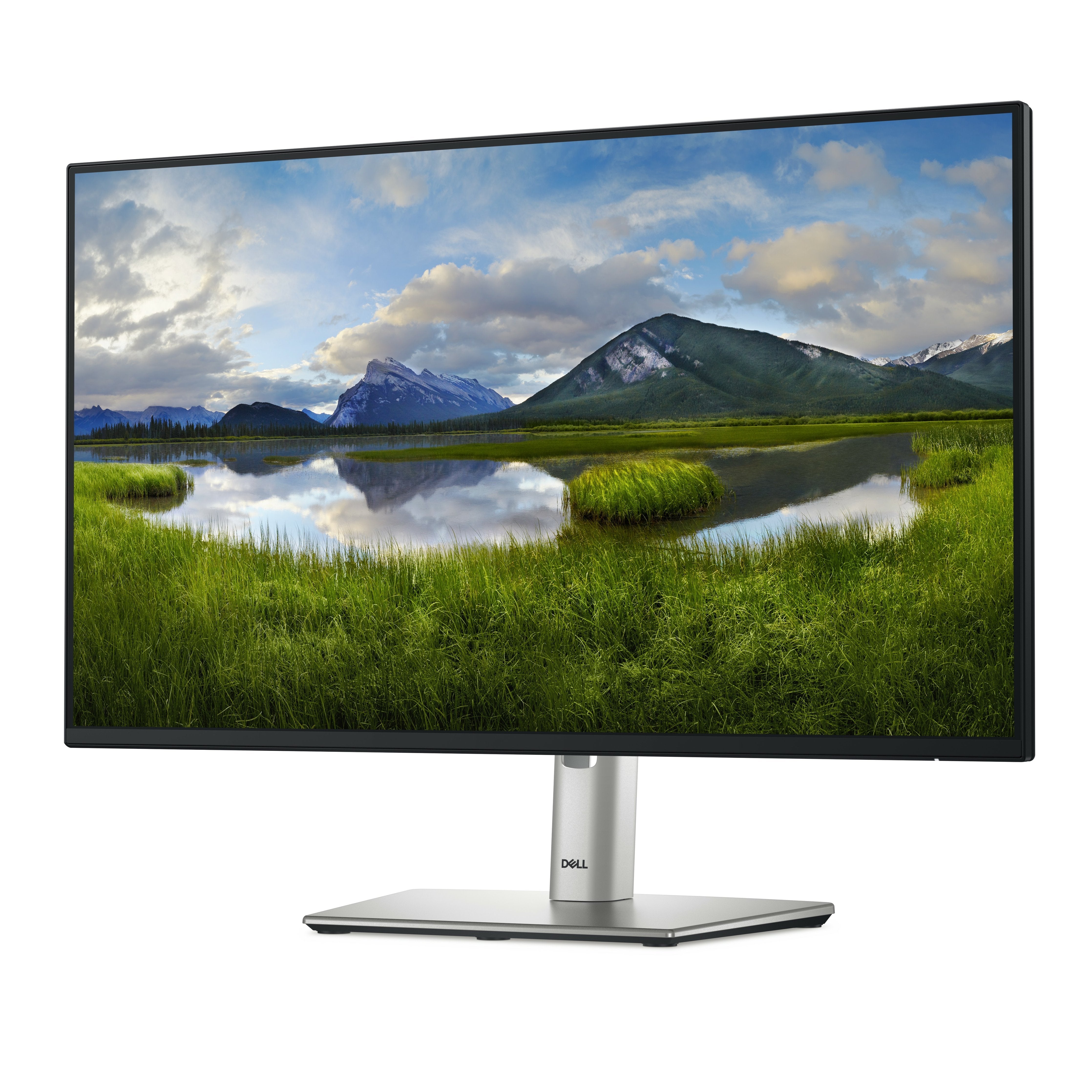 Monitor 24" Hdmi Displayport Vga Dell P2422h 1920x1080 8ms 250cd/M2 Pivotante Y Regulable En Alturacolor Negro 3aã±Os Garantia