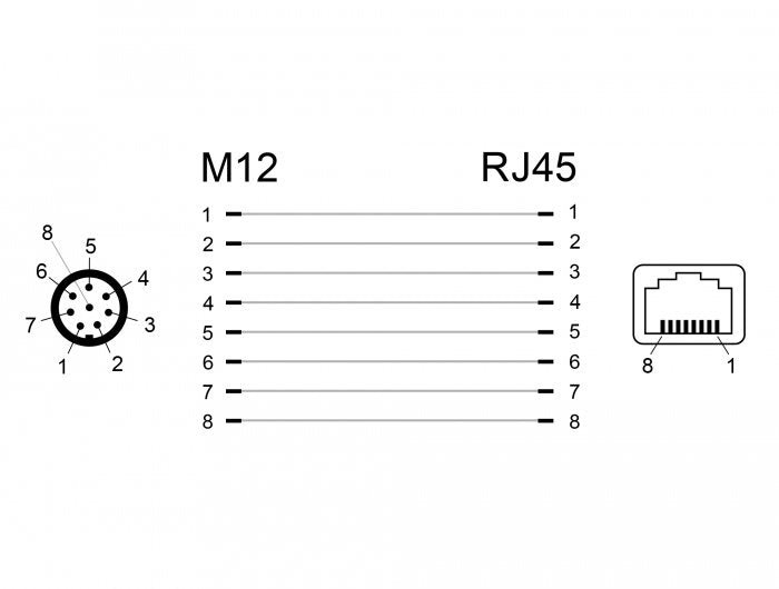 Delock Netzwerkadapter M12 A-Kodiert 8 Pin Stecker Zu Rj45 Buchse