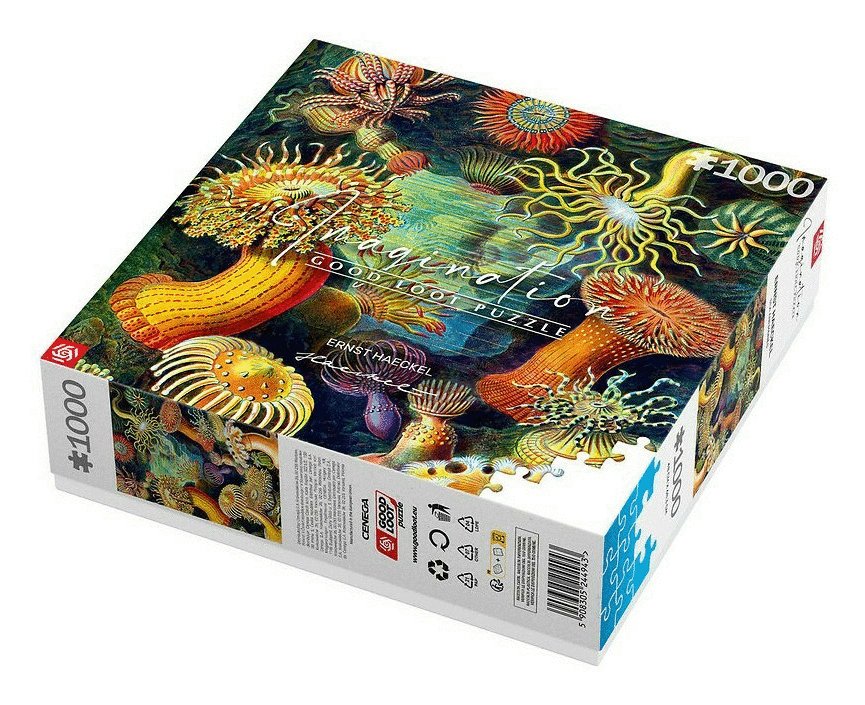 Puzzle Good Loot 1000 Imagination Ernst Haeckel Stworzenia Morskie