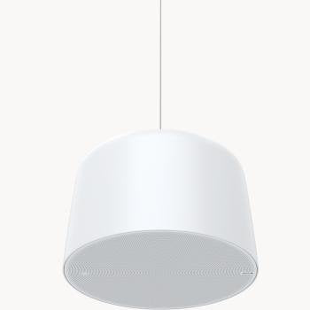 Axis C1510 Network Pendant Cons Speaker Axis C1510 Network Penda