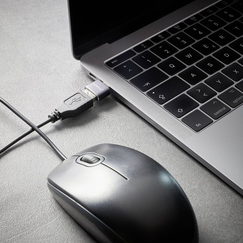 EAN 4034303038152 - Intenso 7600913 cambiador de género para cable Gris imagen 20