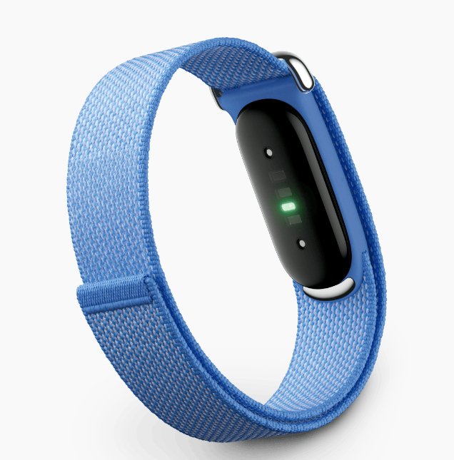Watch Google Fitbit Air - Lavender