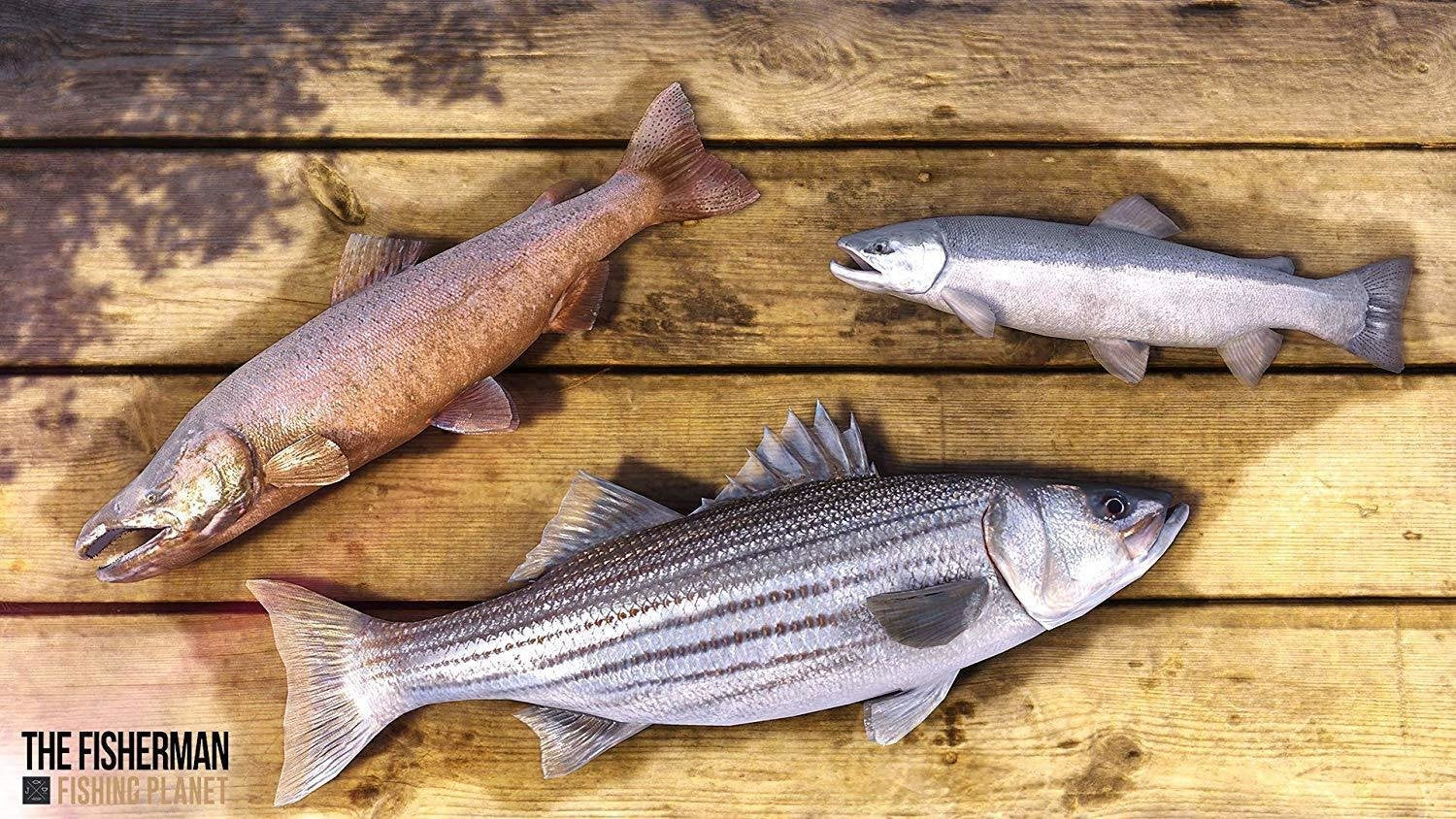 Videojuego The Fisherman Ps4 Dvd Fishing Planet Day One Edition