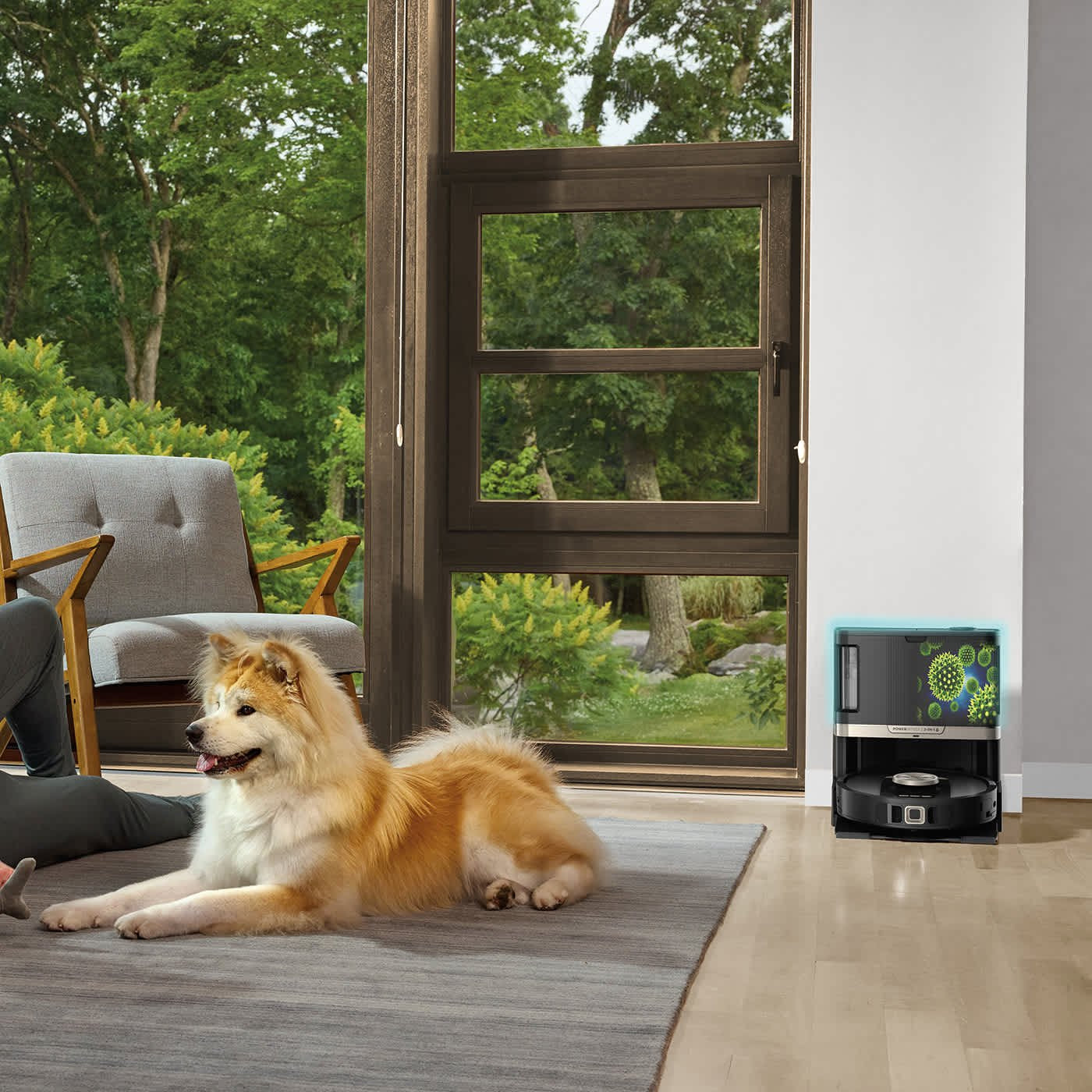 Robot Aspirador Y Frogadora Shark Rv2800zeeu