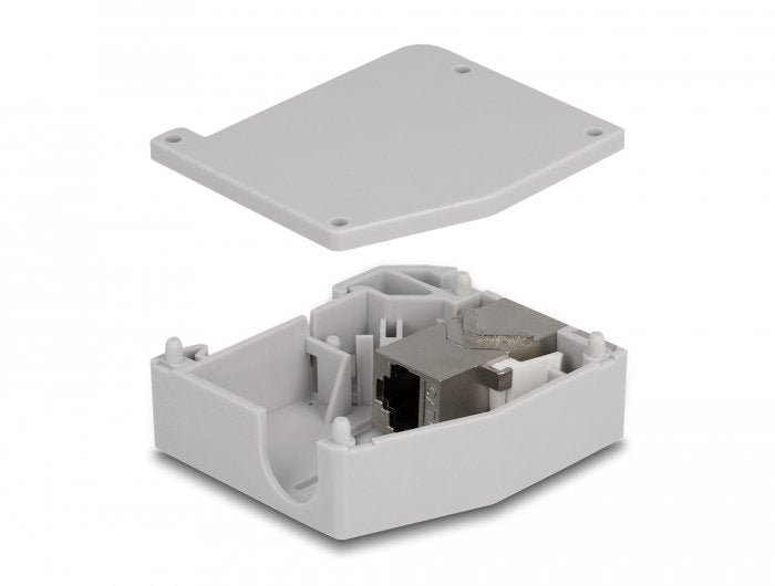 Delock Adaptador De Carril Din Con Módulo Keystone Rj45 Hembra A Rj45 Hembra Cat.6a