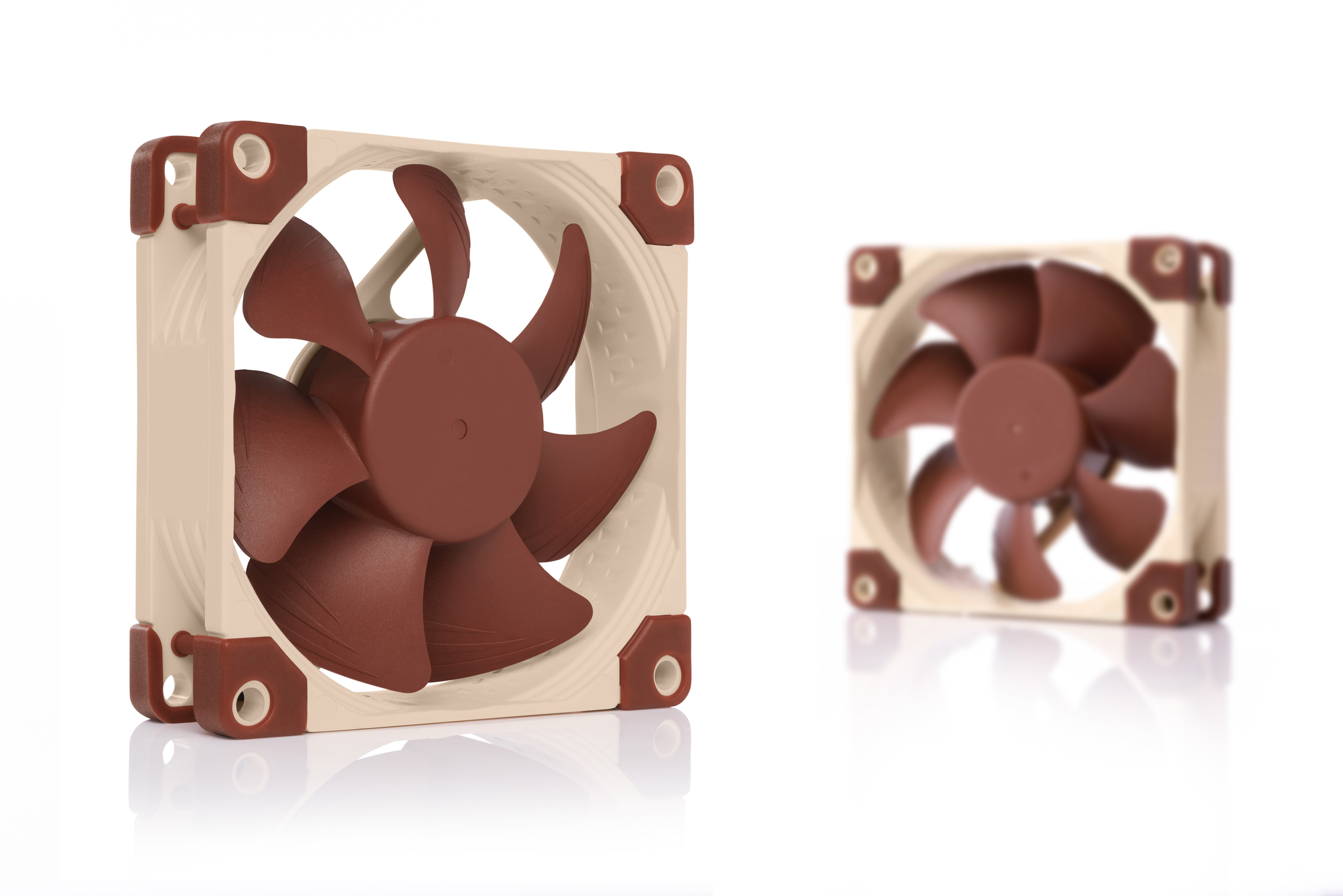 EAN 0841501110313 - Noctua NF-A8 Carcasa del ordenador Ventilador 8 cm Beige, Marrón imagen 6