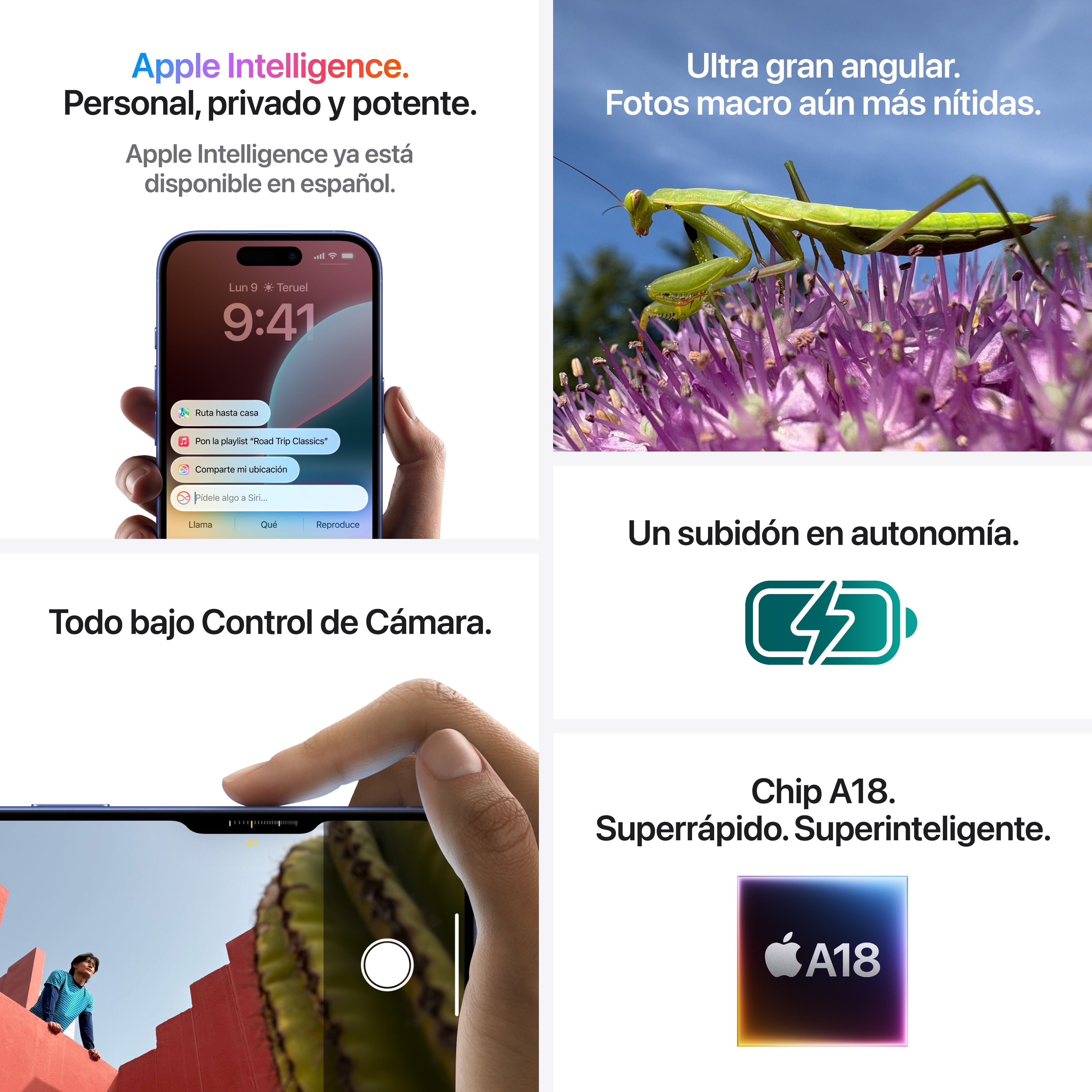 EAN 0195949722950 - Apple iPhone 16 Plus 17 cm (6.7") SIM doble iOS 18 5G USB Tipo C 128 GB Verde azulado imagen 7
