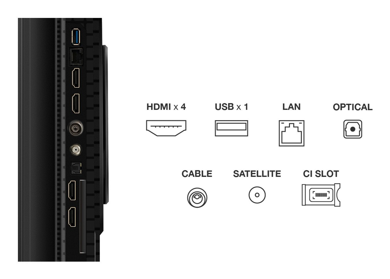 EAN 5901292525880 - TCL P8K 65P8K Televisor 165,1 cm (65") 4K Ultra HD Smart TV Wifi Metálico 350 cd / m² imagen 4