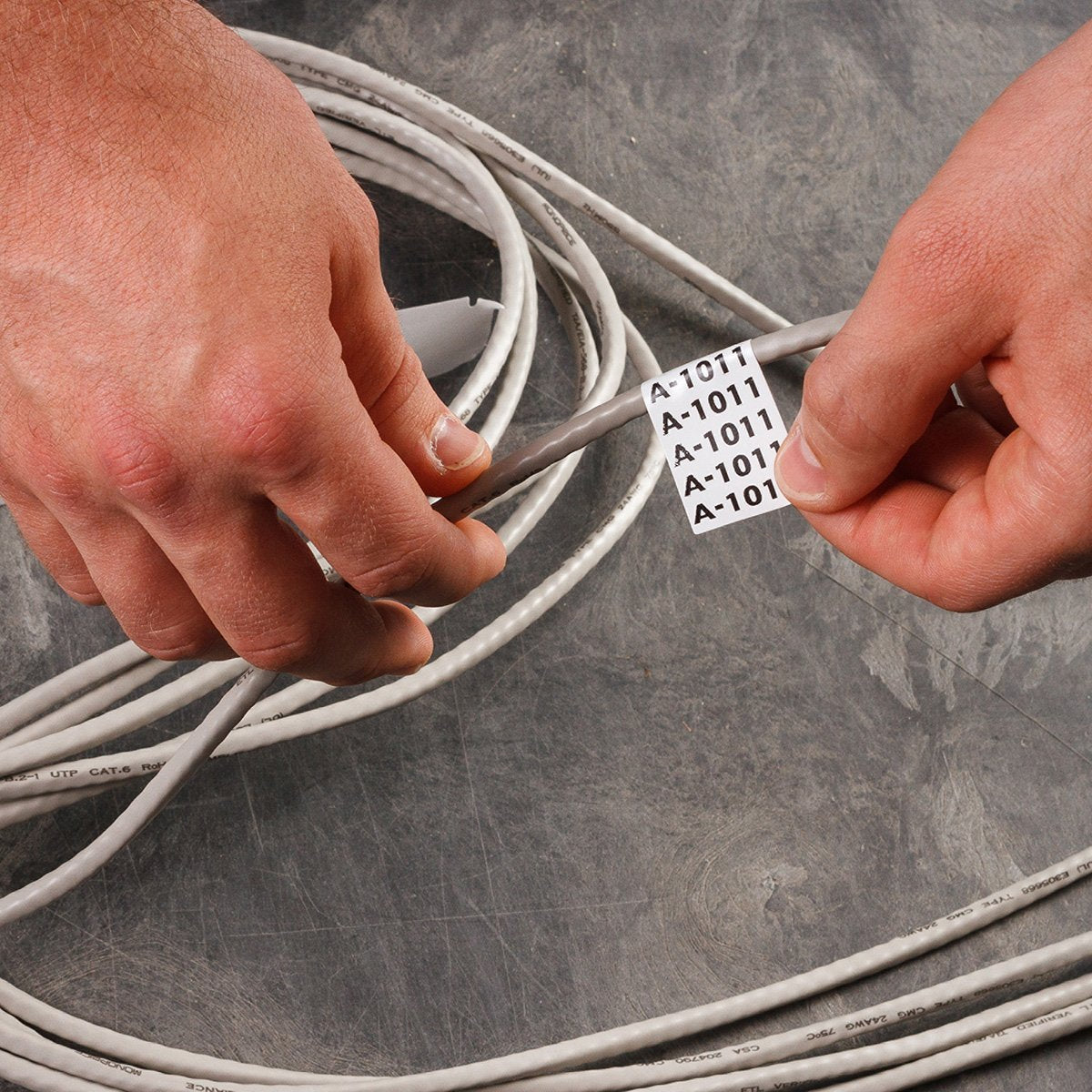 Bmp41/Bmp51/Bmp53/M511 Label Printer Labels