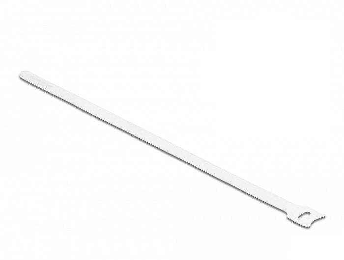 EAN 4043619195244 - DeLOCK 19524 presilla Bridas adherentes para cables 10 pieza(s) imagen 1