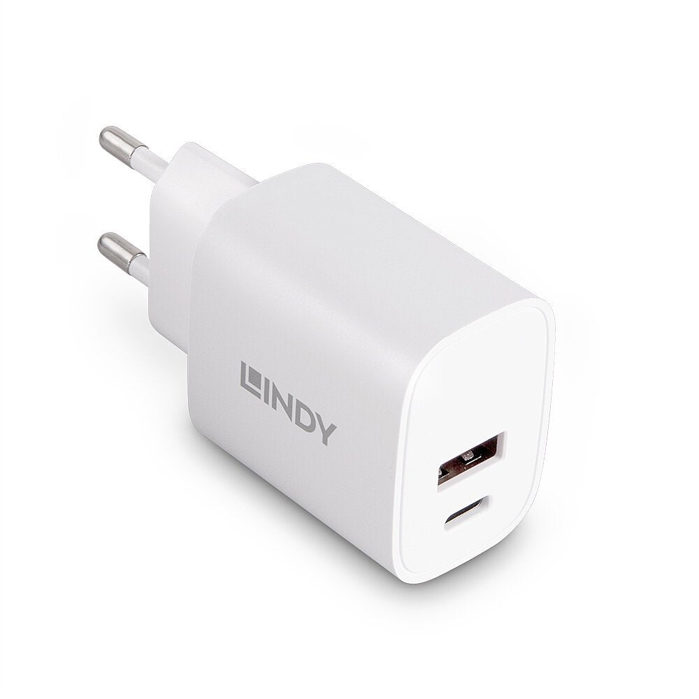 Lindy 73413 Cargador De Pared Usb Typ A & C 20w, Blanco