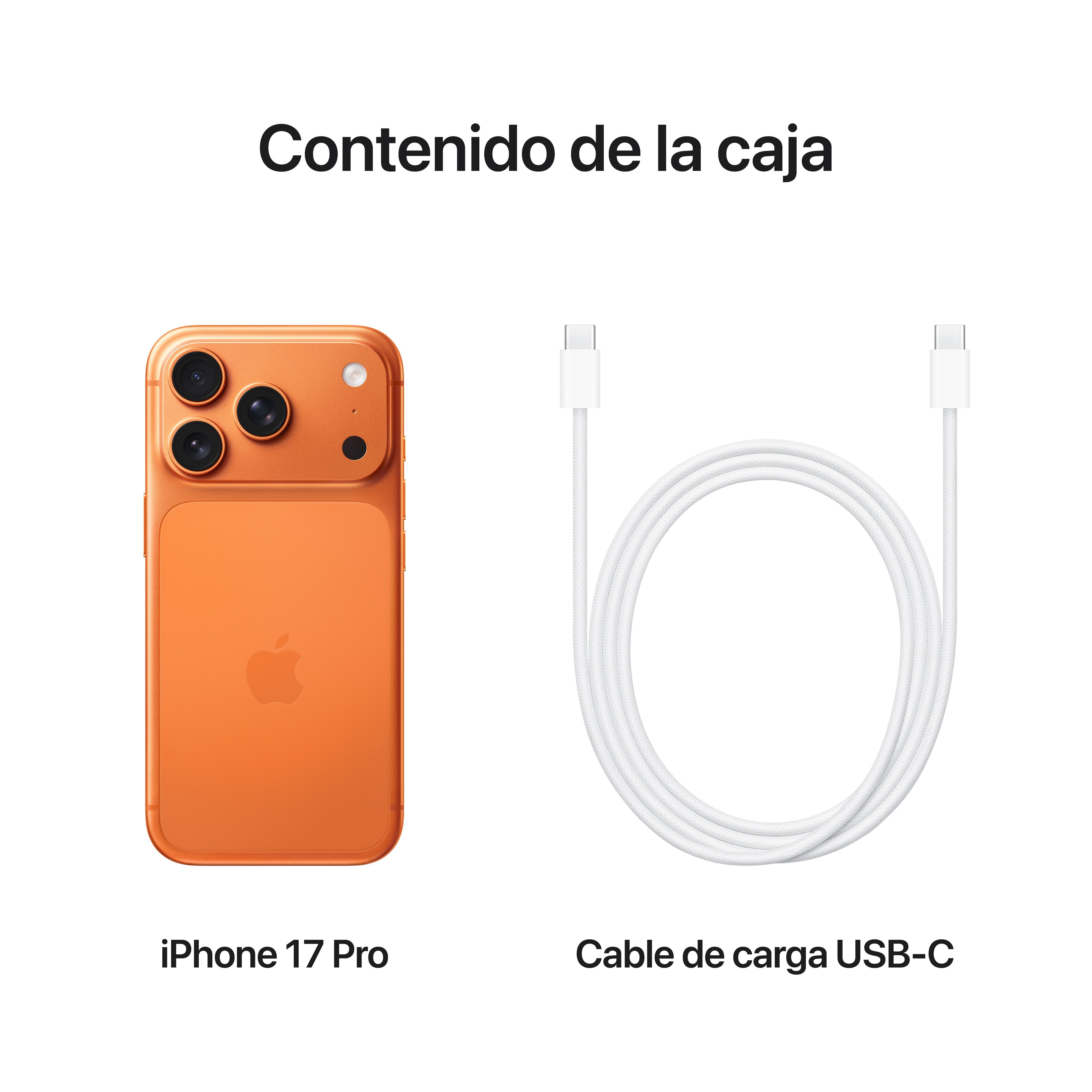 EAN 0195950627961 - Apple iPhone 17 Pro 16 cm (6.3") SIM doble iOS 26 5G USB Tipo C 512 GB Naranja imagen 8