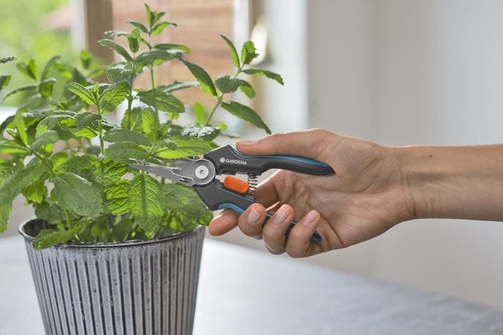 EAN 4066407003224 - Gardena GripCut tijeras de podar Negro, Verde imagen 4