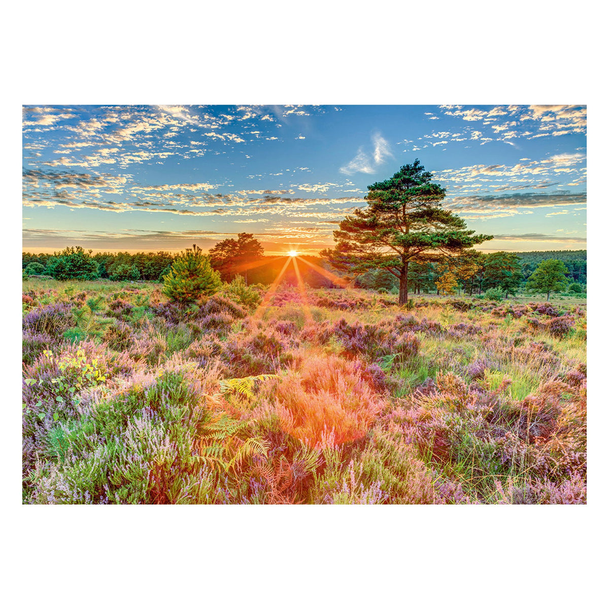 EAN 4001504597689 - Schmidt® Spiele 59768 puzzle Puzzle rompecabezas 1000 pieza(s) Flora imagen 1