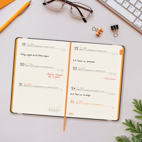 EAN 8422952406082 - Finocam 883321026 agenda Agenda semanal Azul imagen 3