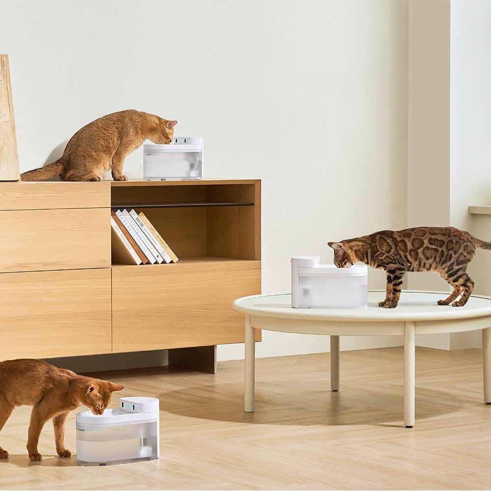 EAN 6972884750873 - CATLINK Pure 3 AI comedero y bebedero para perro y gato Acrilonitrilo butadieno estireno (ABS) Blanco Uni imagen 3