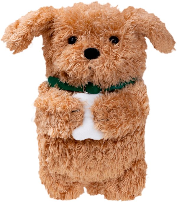 Laut Magmoji Wallet Ginger Dog Comp. With Magsafe
