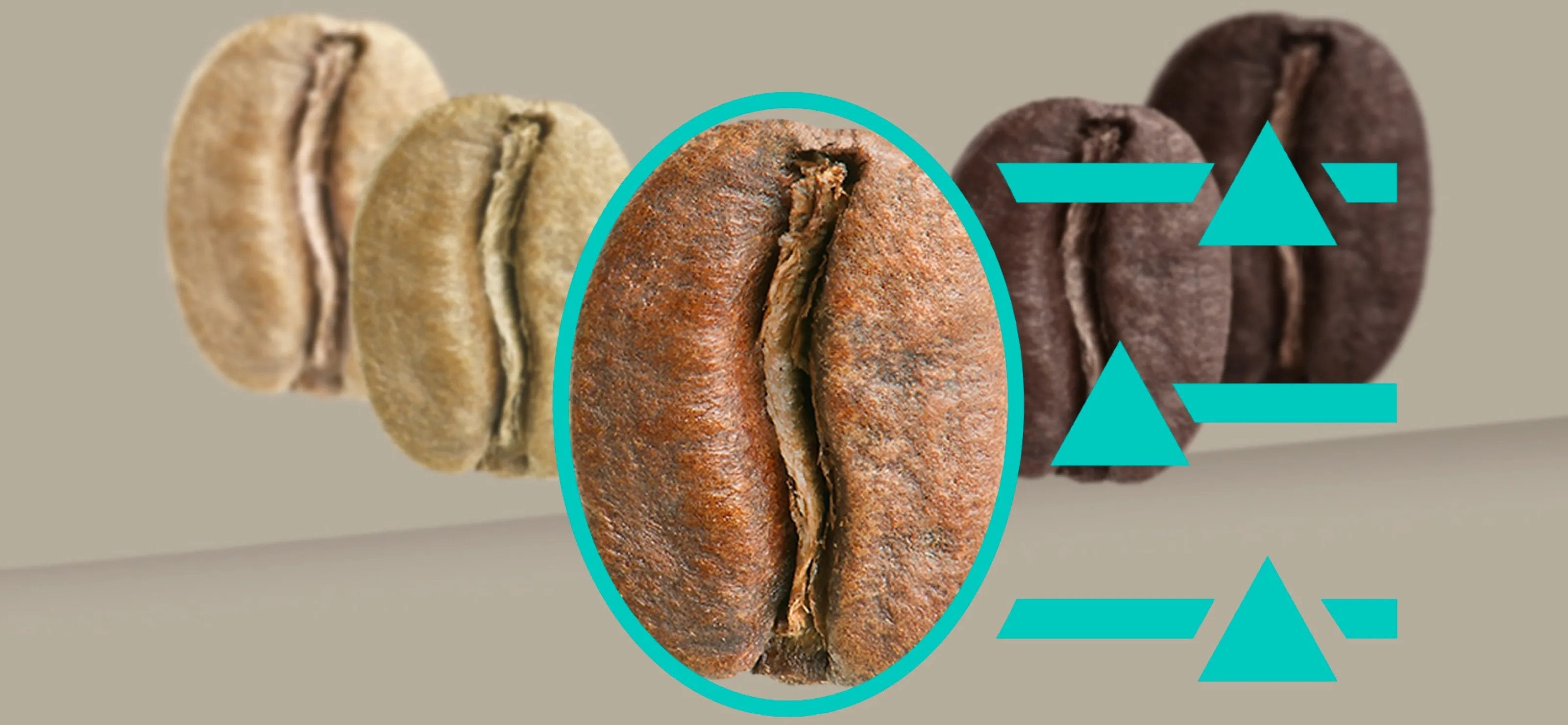 Siemens Tq903dz3, Superautomática Acero Fino Cepillado