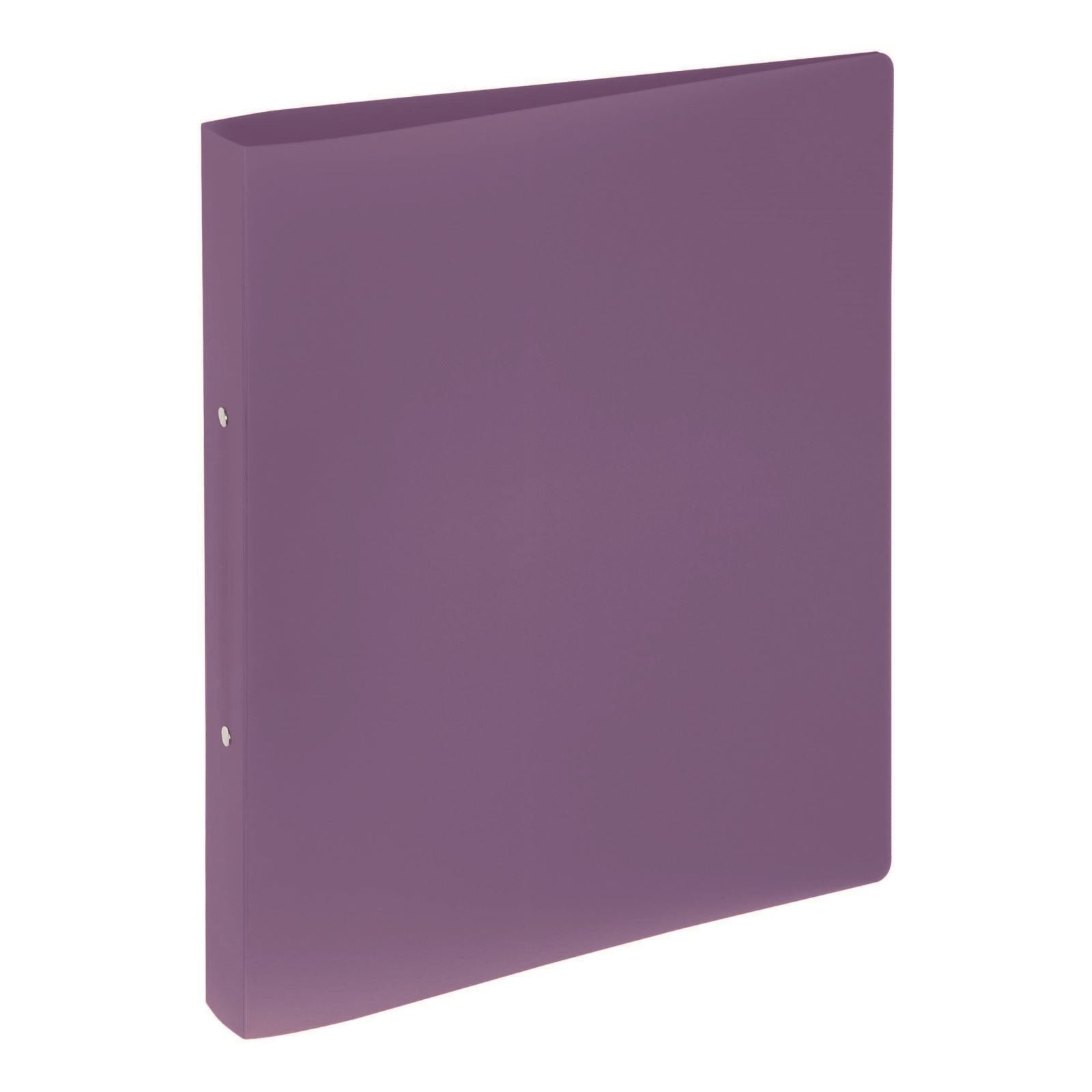 Pagna 20900-12 Carpeta De Cartón A4 Violeta