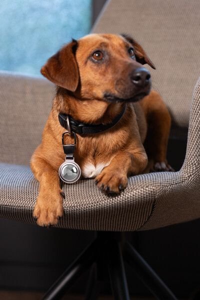 Troika Schlüsselanhänger Airtag Holder Platafarben