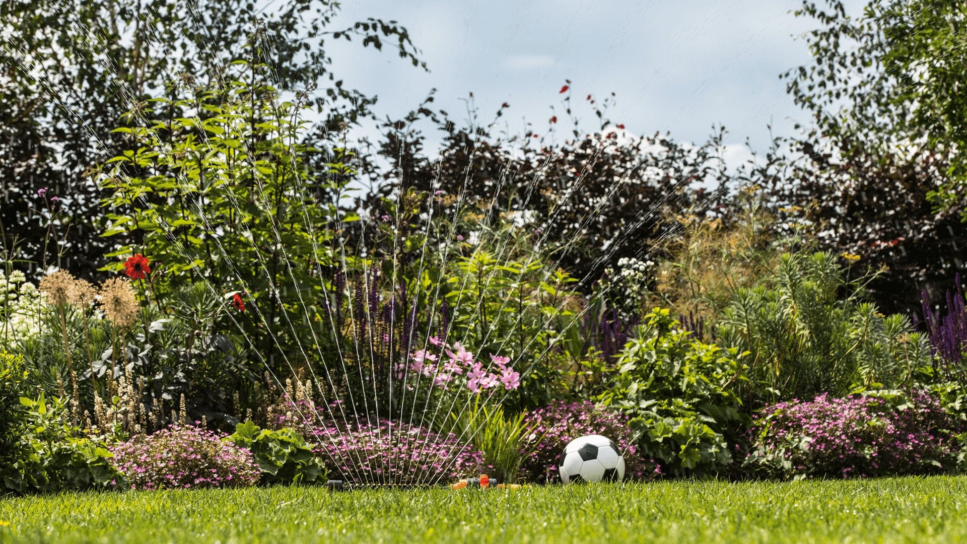 EAN 4059952617541 - Bosch GardenPump18V-2000 2000 l/h imagen 5