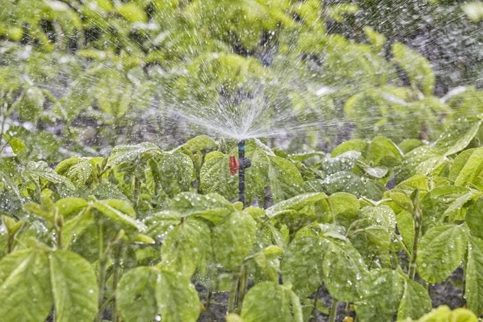 EAN 4078500059138 - Gardena 13322-20 rociador de agua Rociador de agua circular Plástico Negro imagen 6