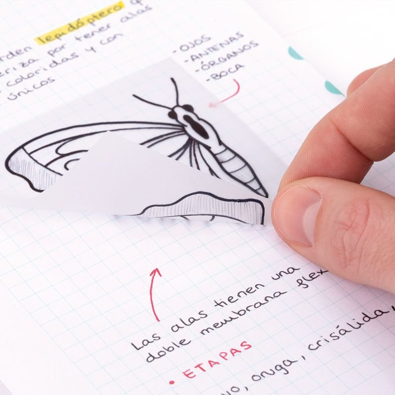 EAN 8411574102007 - Milan 411260050 etiqueta autoadhesiva Plaza Desmontable Transparente, Blanco 50 pieza(s) imagen 3